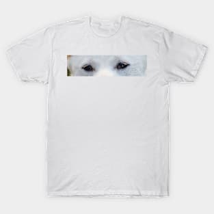 shiba inu eyes white T-Shirt